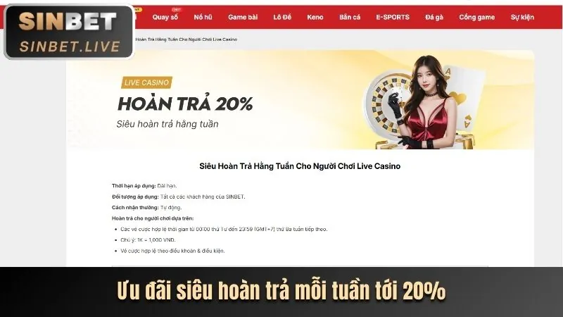 Khuyến Mãi Lễ Hội & Sinh Nhật 2026